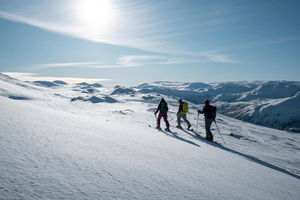 Harahorn Fjellgard Grøndalen Exterior foto